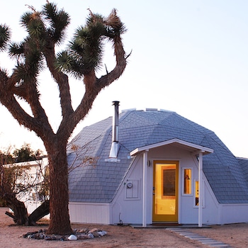 E-Comm: Airbnb Spring Break Stays & Experiences